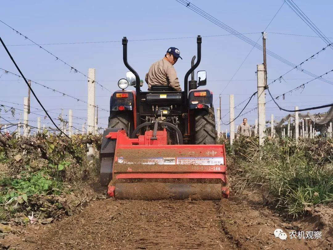 2019设施蔬菜生产机械化论坛