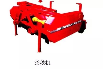 11.webp (1).jpg