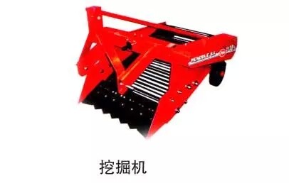 11.webp (1).jpg