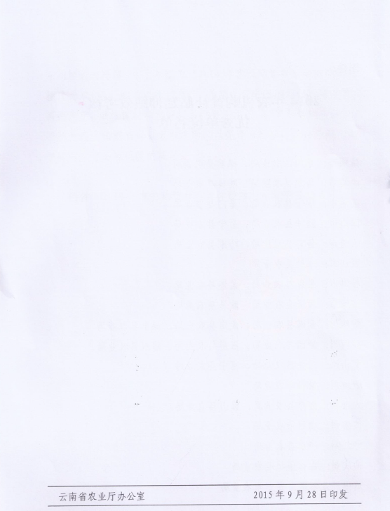 44.png
