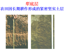 F:\流通协会\2015.10\20151020\网站信息更替\5\2.png