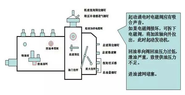 11.webp (1).jpg