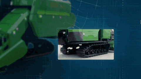 11.gif