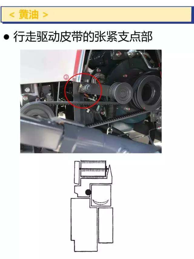 55.jpg
