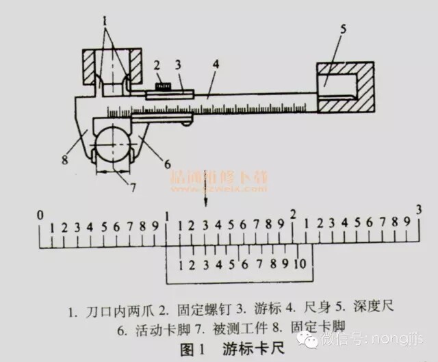 11.webp (1).jpg