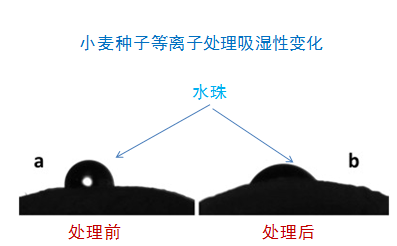 11.png