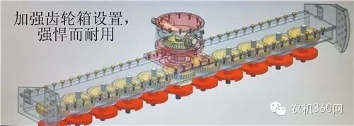 11.webp (1).jpg
