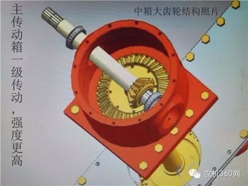11.webp (2).jpg