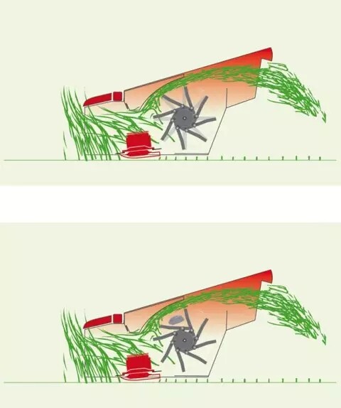 11.webp (2).jpg