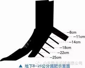 640.webp (2).jpg