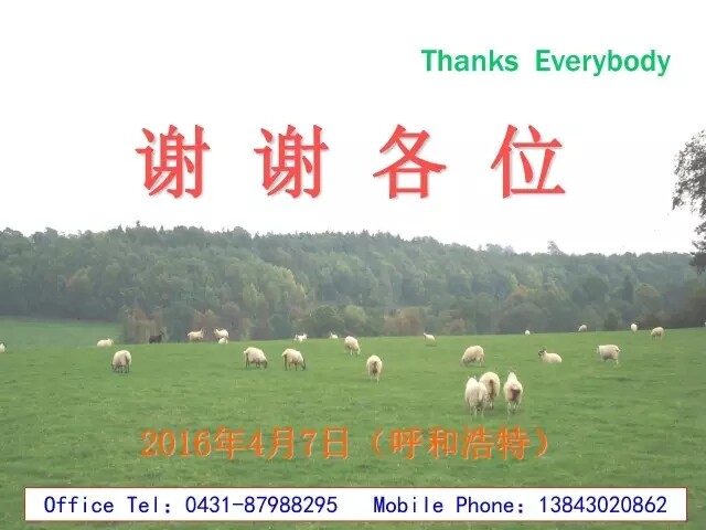 11111.webp.jpg