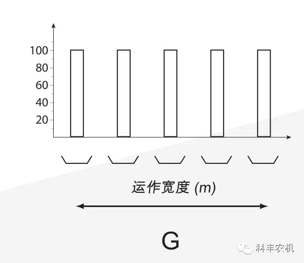 11.webp.jpg