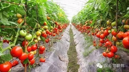 640.webp.jpg 640.webp.jpg