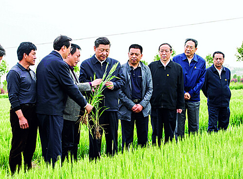 白馍吃到嘴 日子甜在心.jpg