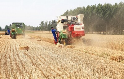 柳城县农机局：服务关口前移 补贴办理方便.jpg