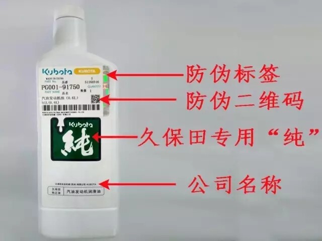 11.webp.jpg