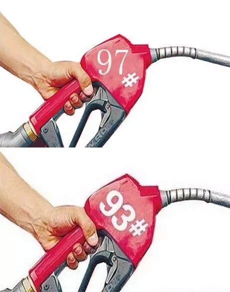 11.webp.jpg