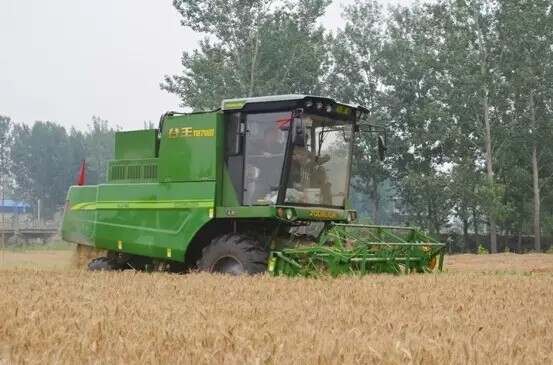 640.webp (3).jpg 640.webp (3).jpg