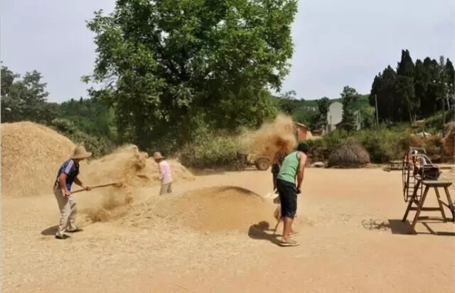 640.webp.jpg 640.webp.jpg