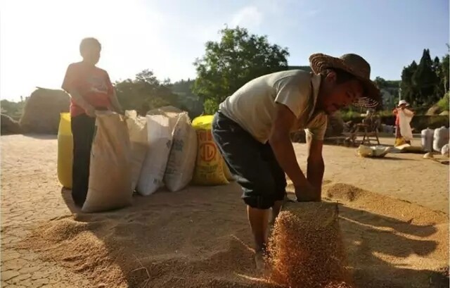 640.webp (3).jpg 640.webp (3).jpg