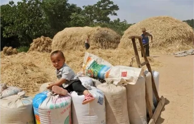 640.webp (6).jpg 640.webp (6).jpg