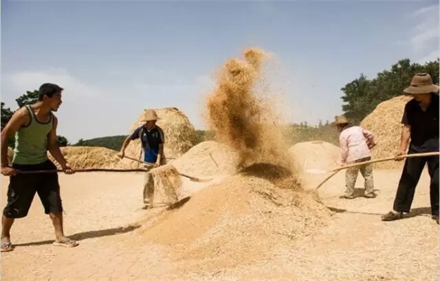 640.webp (7).jpg 640.webp (7).jpg