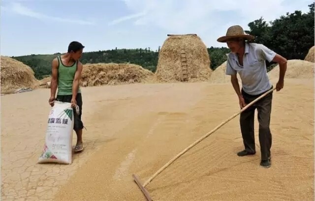 640.webp (8).jpg 640.webp (8).jpg