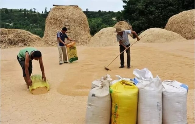 640.webp (9).jpg 640.webp (9).jpg