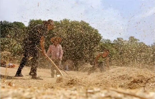 640.webp (10).jpg 640.webp (10).jpg