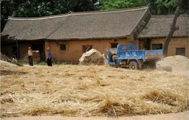 640.webp (11).jpg 640.webp (11).jpg