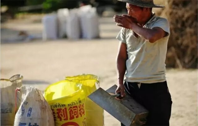 640.webp (12).jpg 640.webp (12).jpg