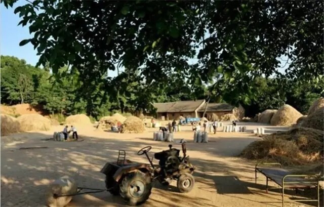 640.webp.jpg 640.webp.jpg