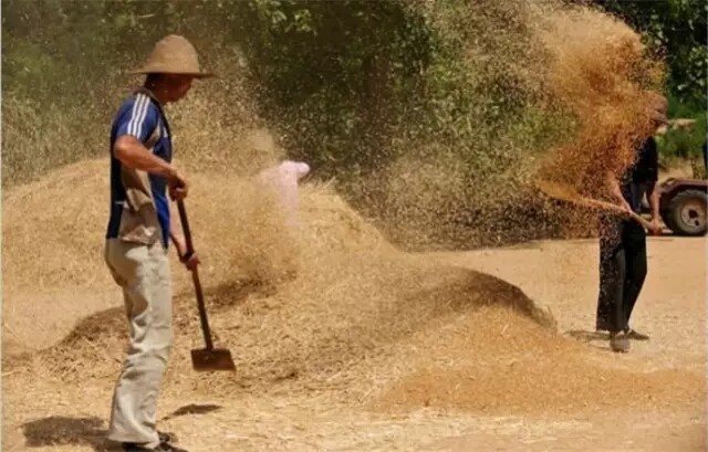 640.webp (2).jpg 640.webp (2).jpg