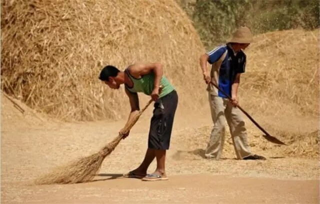 640.webp (7).jpg 640.webp (7).jpg