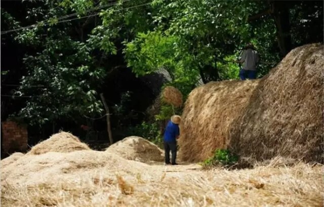 640.webp (9).jpg 640.webp (9).jpg