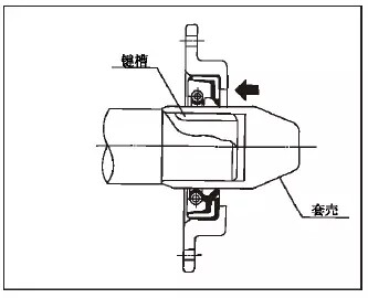 640.webp (10).jpg