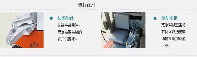 88.webp.jpg
