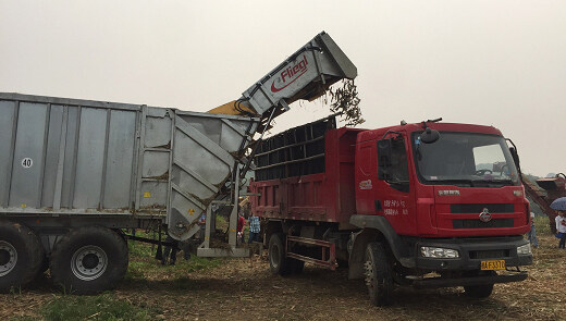 P33-3-福林格ASW271运输车甘蔗转运现场.jpg
