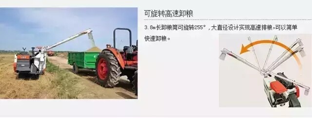 2.webp.jpg