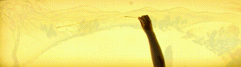 12.gif
