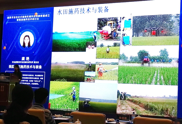 33.gif