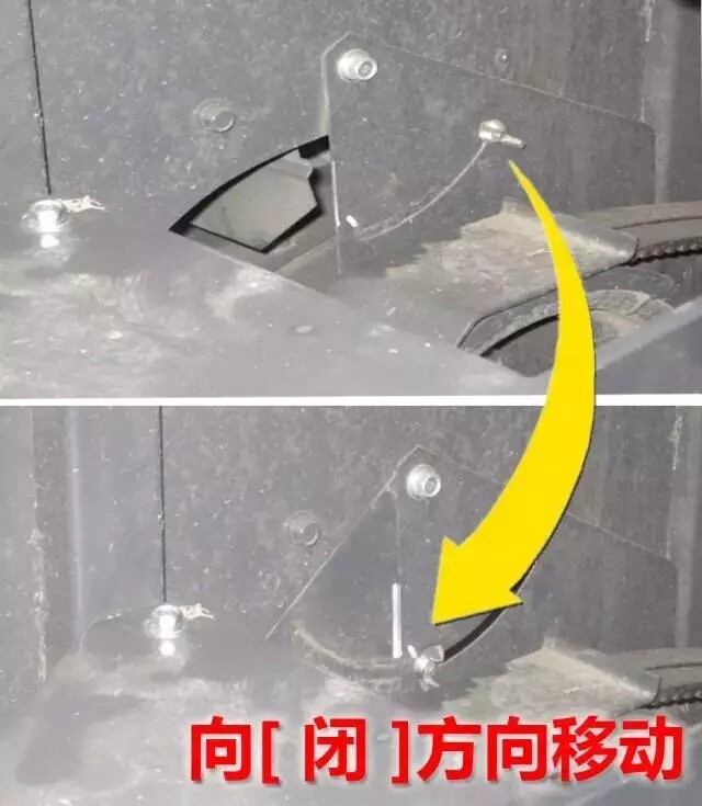 2.webp.jpg