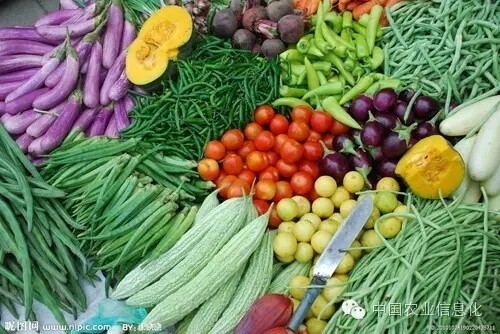 640.webp (2).jpg 640.webp (2).jpg