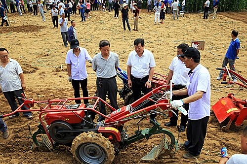 22.jpg 22.jpg