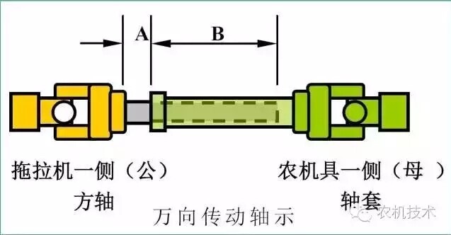 640.webp (2).jpg