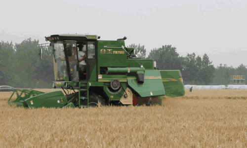0 (4).gif 0 (4).gif