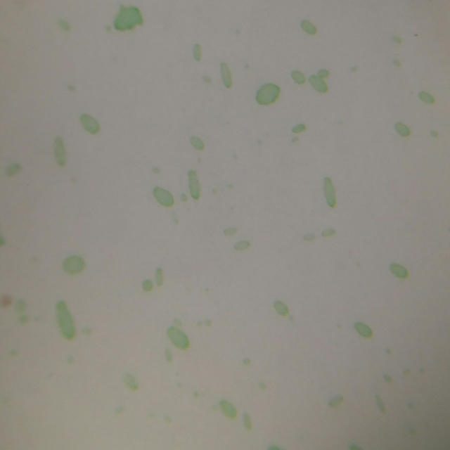 1470717873251512.jpg 1470717873251512.jpg