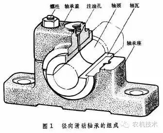 640.webp (1).jpg