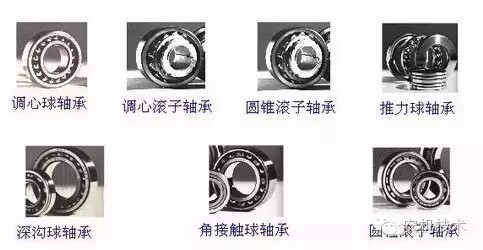 640.webp (1).jpg