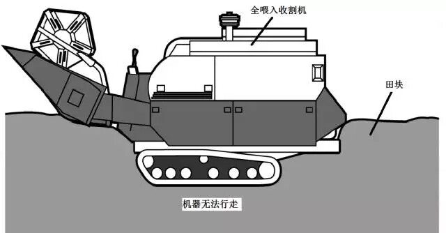 640.webp (2).jpg